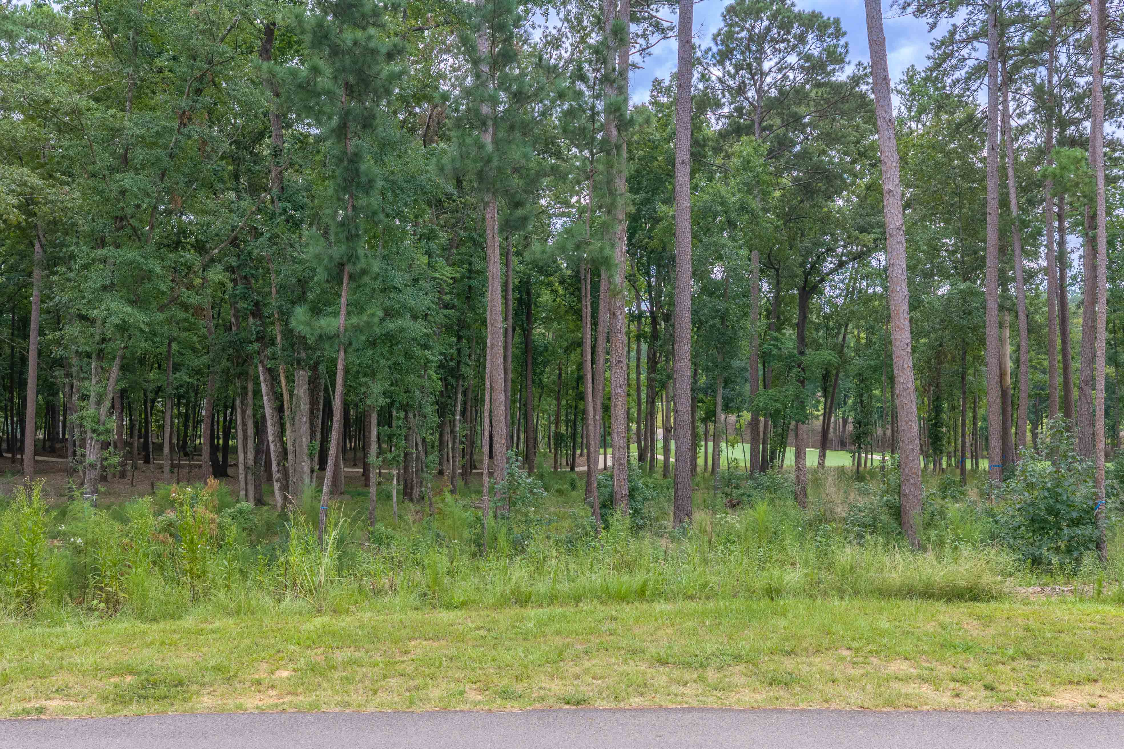 1131 Grove Ridge View image 2